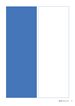 graphic showing size of ad