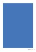 graphic showing size of ad